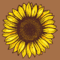 Sun to Me Design